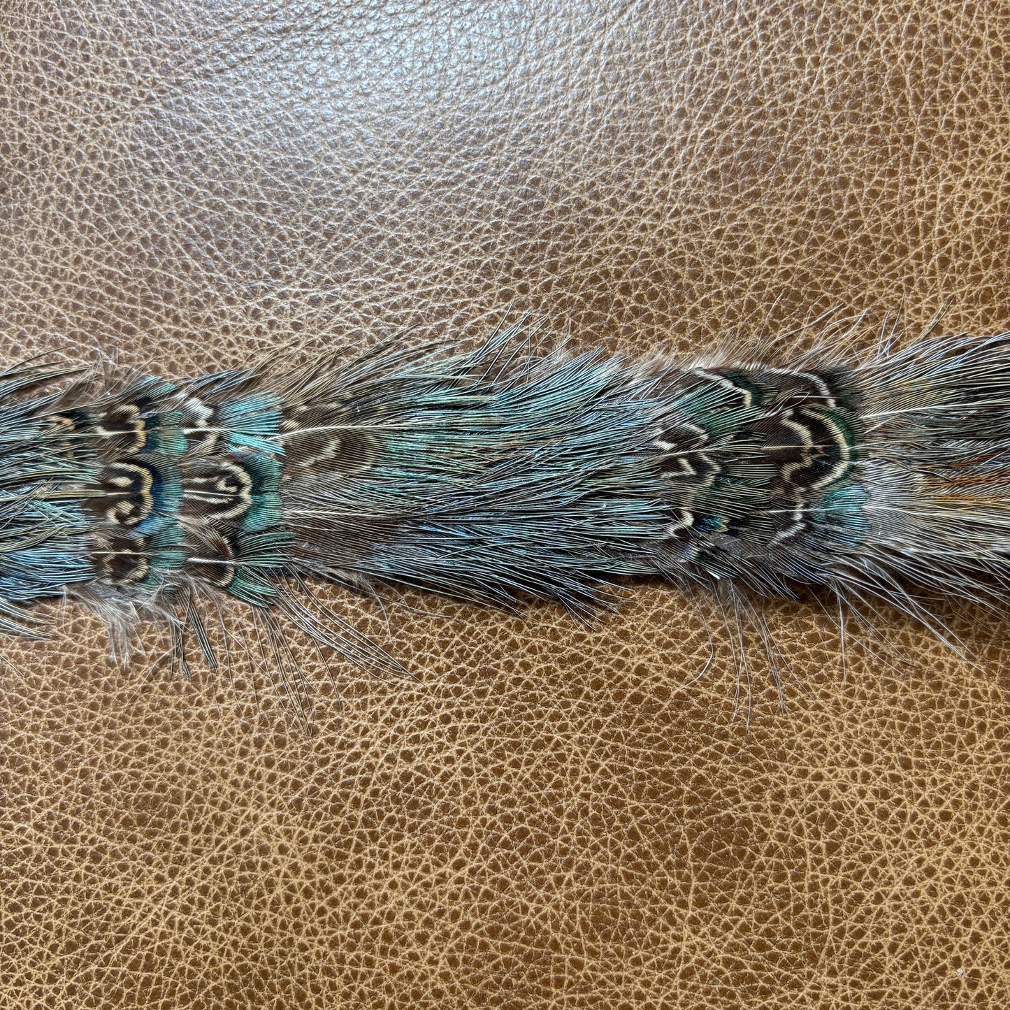 Feather Hat Band