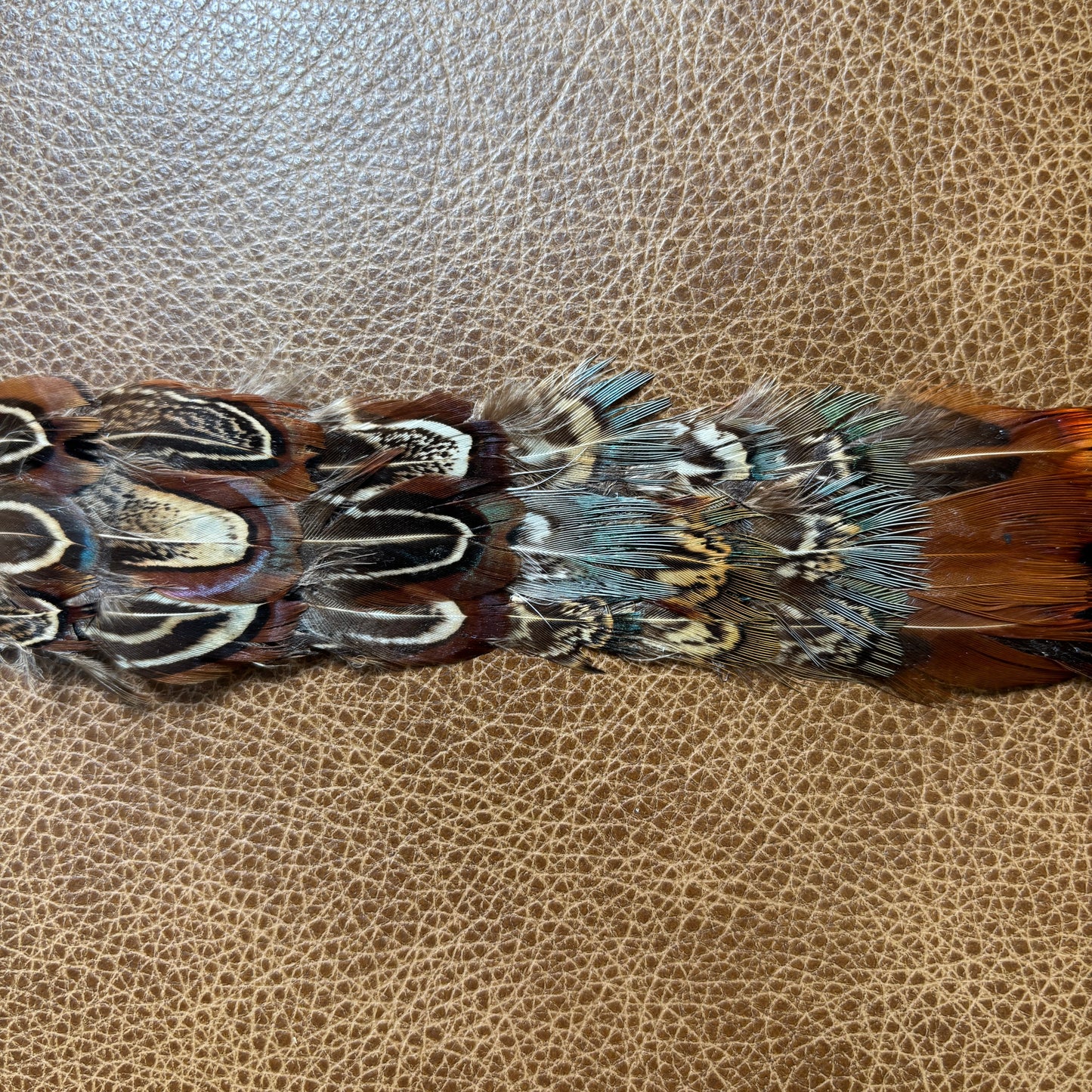 Feather Hat Band