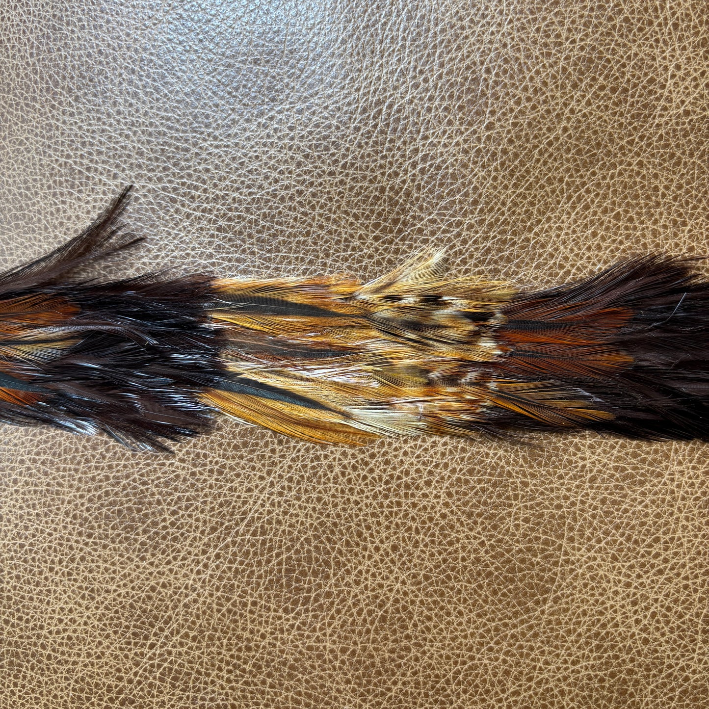 Feather Hat Band