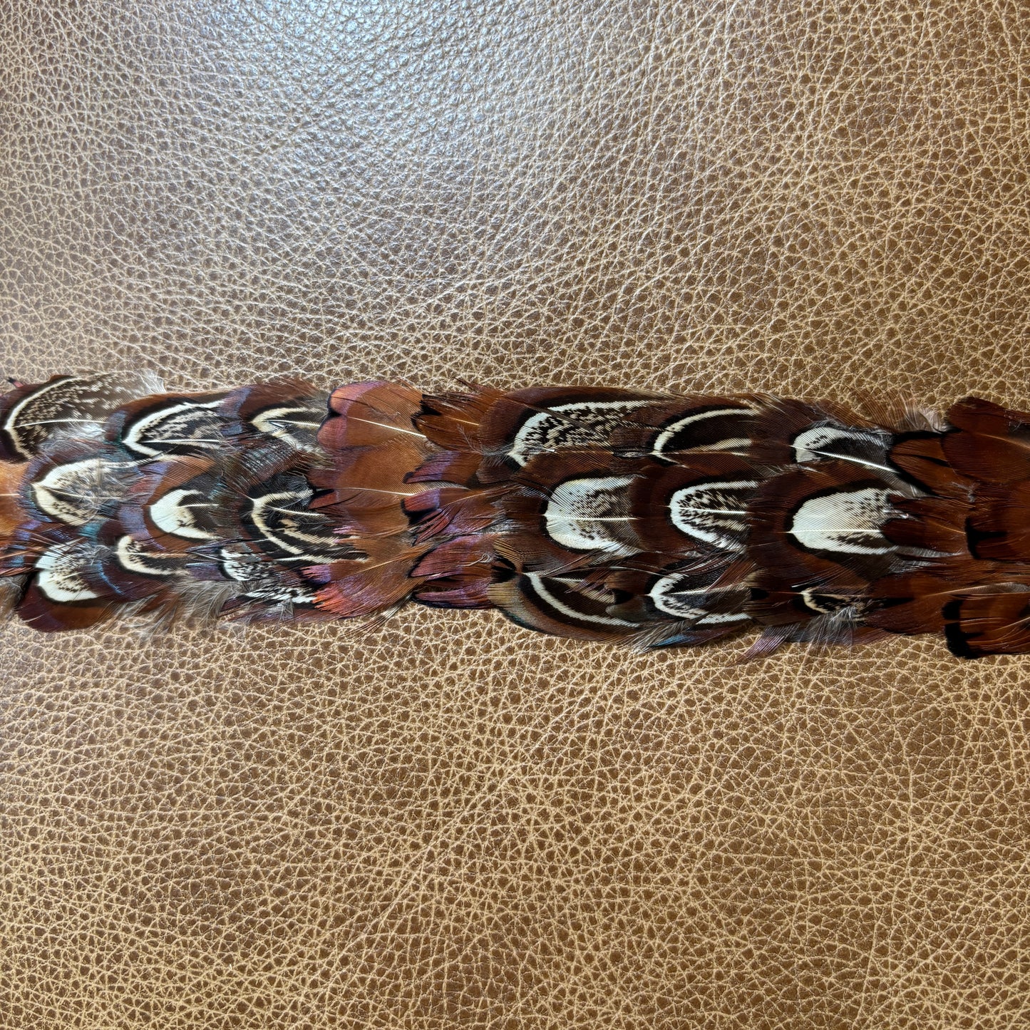 Feather Hat Band