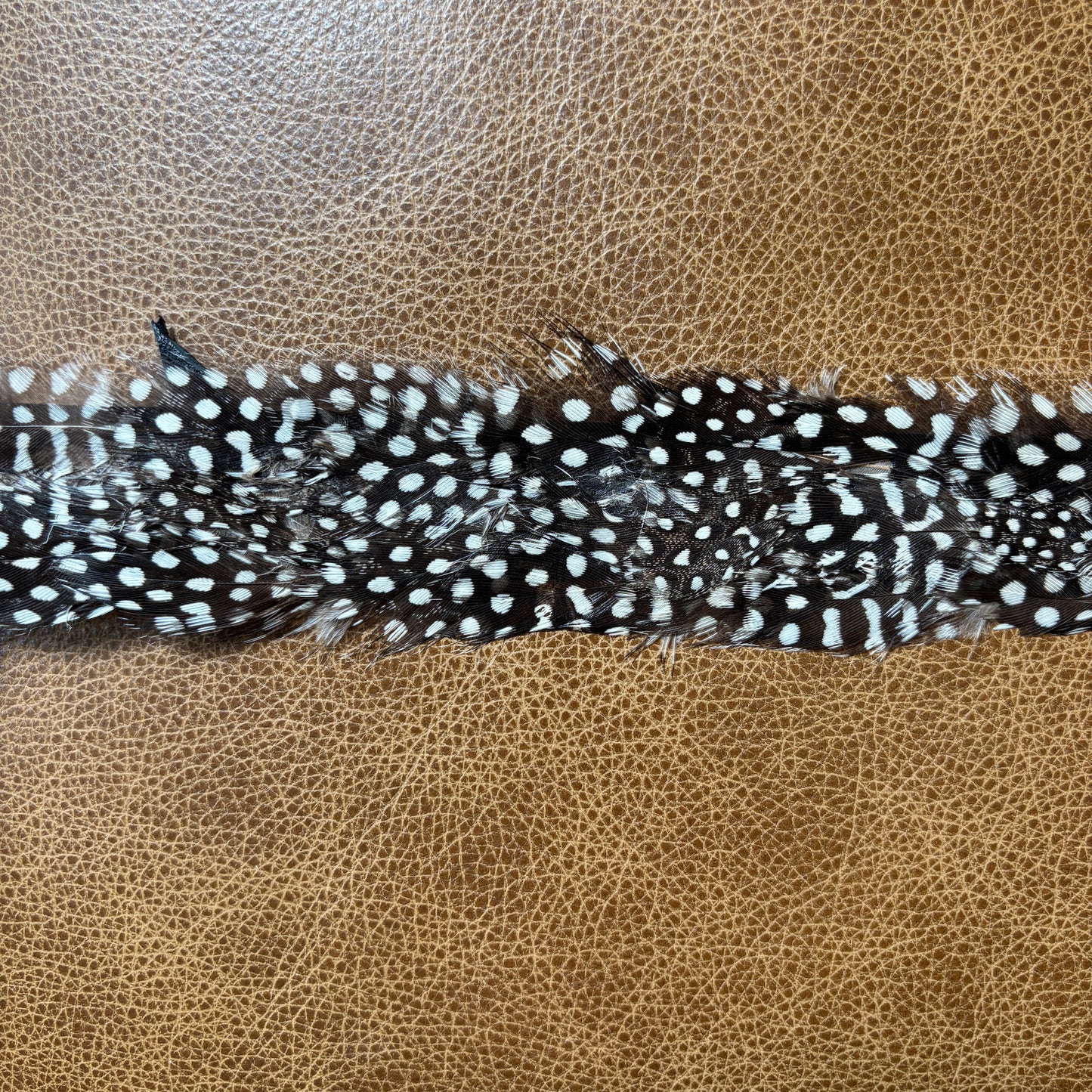 Feather Hat Band
