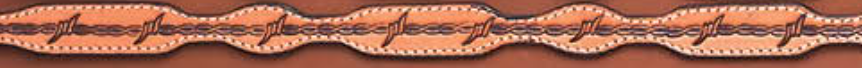 Tan Leather Hat Band