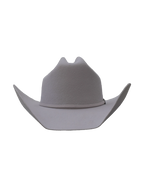 Dallas Cattleman in Silverbelly