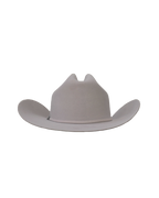 Dallas Cattleman in Silverbelly