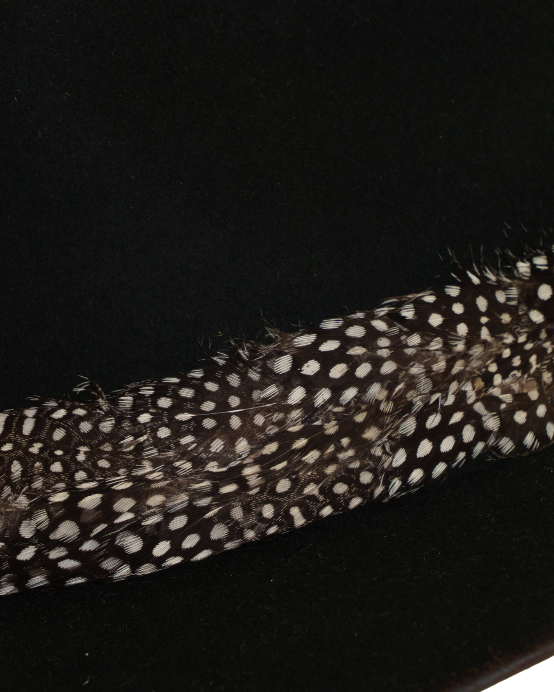 Close-up view of a black teardrop crown fedora with a speckled black and white feather hat band and burnt brim edge
