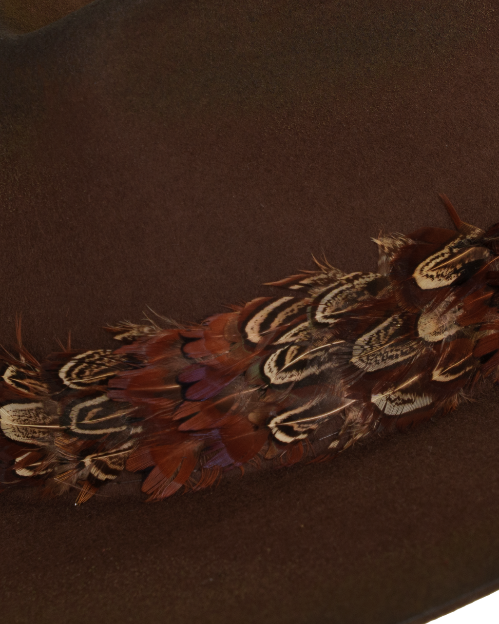 Close-up view of a dark brown wide-brim fedora and layered rust-tone feather hat band.
