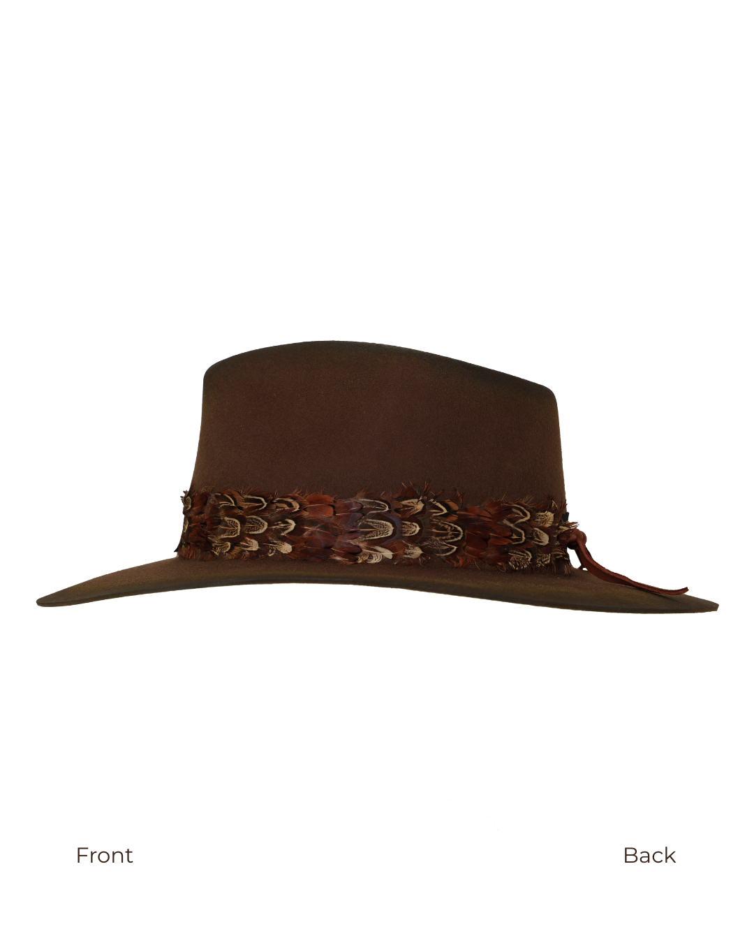Side profile view from front to back of a dark brown wide-brim fedora with an teardrop crown crease and layered rust-tone feather hat band.
